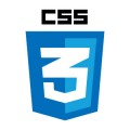 CSS